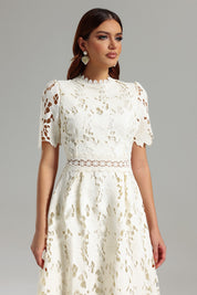 Whispering Bloom Lace Label Dress