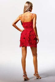Scarlet Bloom Lace Mini Label Dress