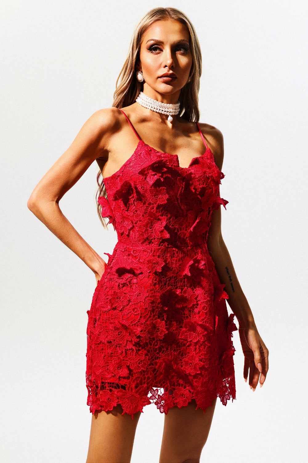 Scarlet Bloom Lace Mini Label Dress