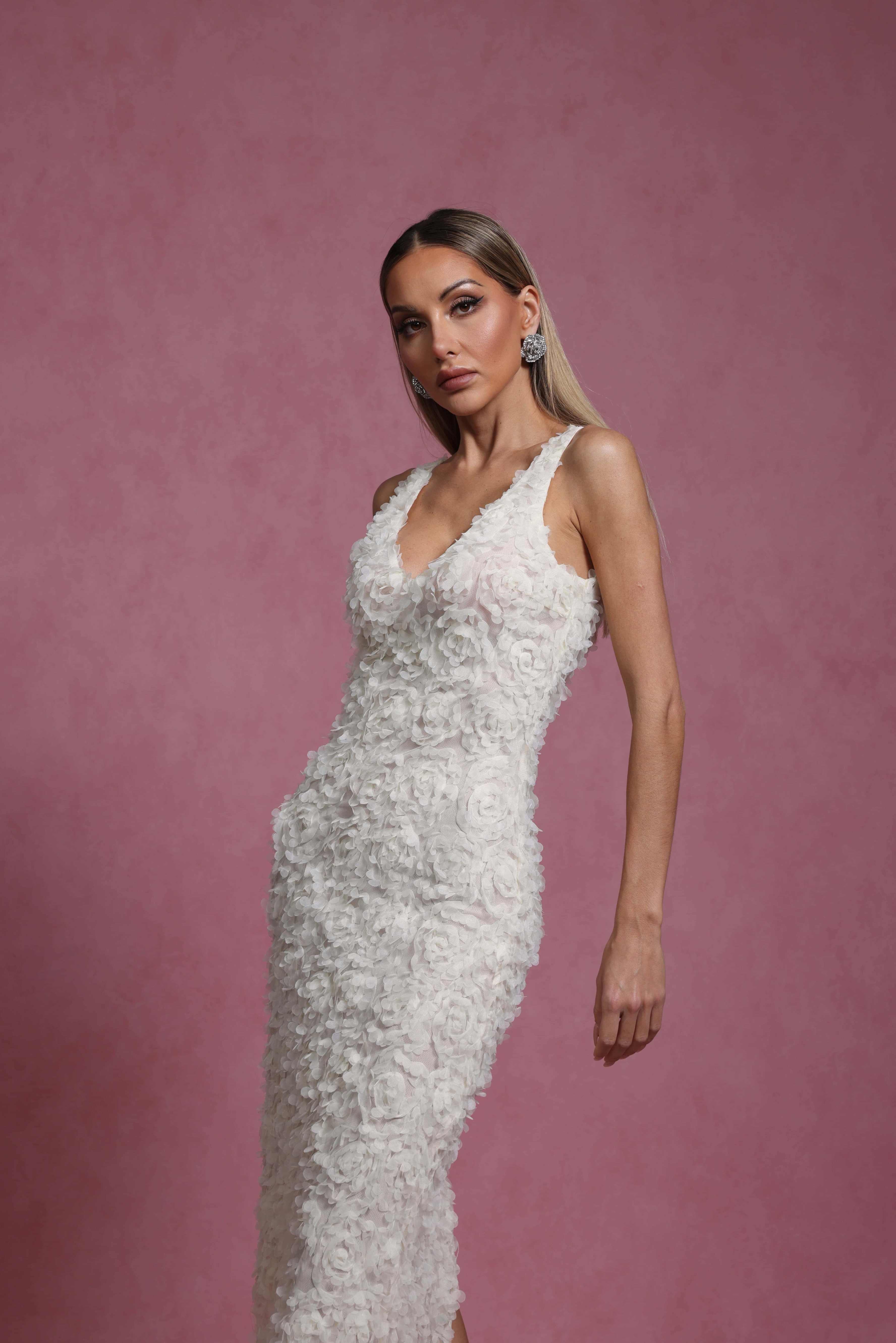 Moonlit Elegance Dress