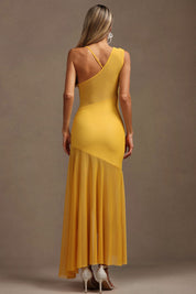 Sunny vibes Dress
