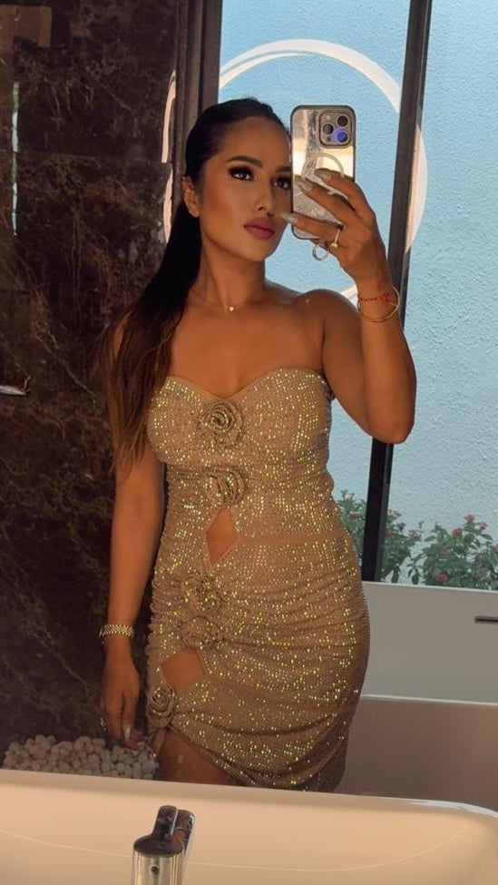 Champagne Bloom Embellished Dress