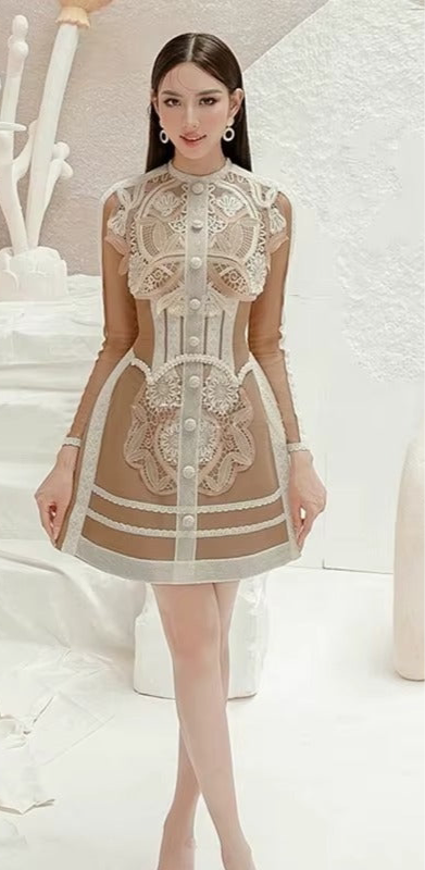 Vintage Lace Embroidered Mini Dress