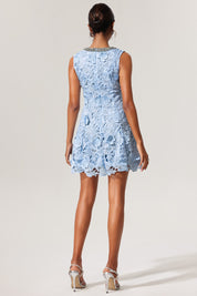 Icy Lace Charm Dress