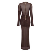 Mesh Rushed Long Dress