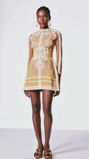 Vintage Lace Embroidered Mini Dress